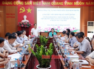 Chơn Thành: 6 tháng đầu năm thu ngân sách ước đạt trên 250 tỷ đồng