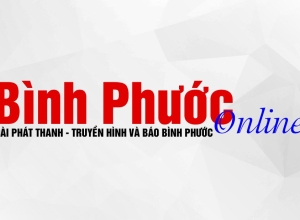 Tiếp tục triển khai thực hiện sắp xếp đơn vị hành chính