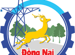 Trụ sở 95 xã, phường sau sắp xếp của tỉnh Đồng Nai mới