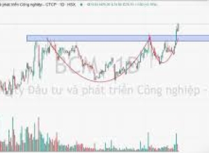Becamex IJC dự kiến chào bán hơn 251,8 triệu cổ phiếu