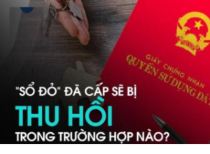 Tháng 6/2024: Tất tần tật những đối tượng đính chính, thu hồi hoặc hủy sổ đỏ, sổ hồng