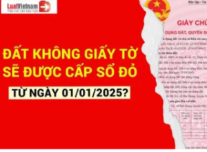 Những loại đất không giấy tờ nào sẽ được cấp sổ đỏ từ 01/01/2025?