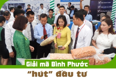 Giải mã Bình Phước 'hút' đầu tư