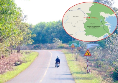 Tuyến giao thông kết nối trực tiếp Đồng Nai - Bình Phước: Ưu tiên thiết kế đường trên cao
